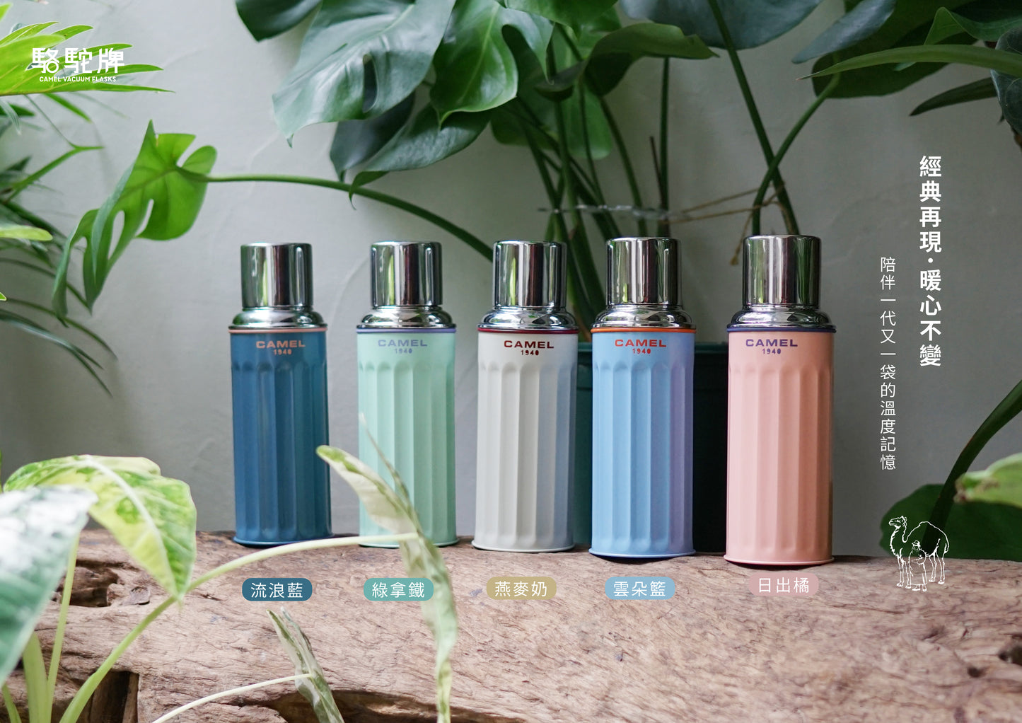 【香港CAMEL駱駝牌】122 系列真空玻璃內膽保溫瓶/ 450ml/蒂芬妮玫瑰金-台灣限定色【買就送矽膠杯刷】